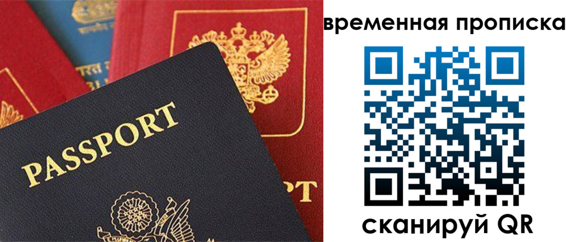 прописка для школы в Электростали